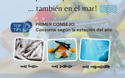 Pescados de temporada en primavera: frescura, sabor y consumo responsable
