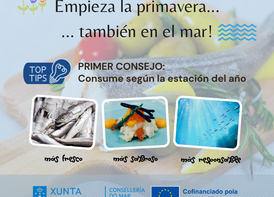 Pescados de temporada en primavera: frescura, sabor y consumo responsable